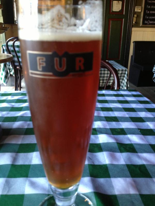 Fur Steam Beer