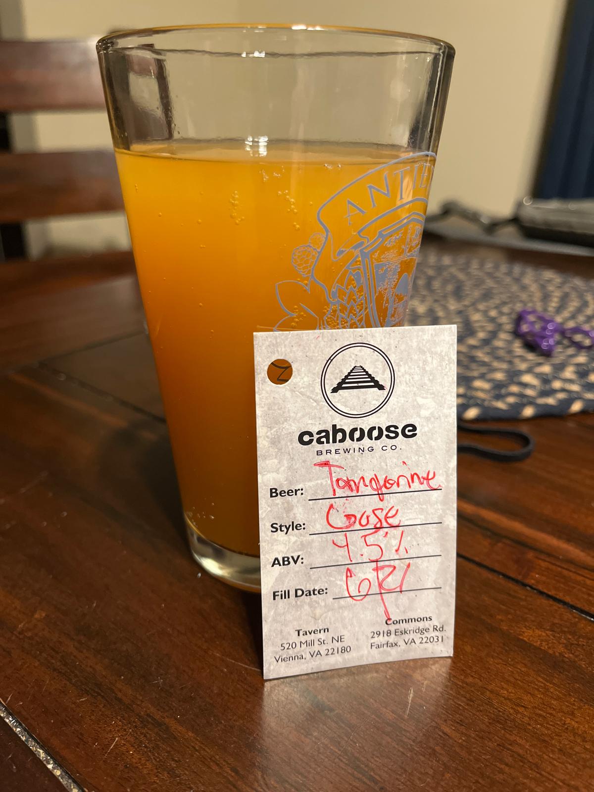 Tangerine Gose
