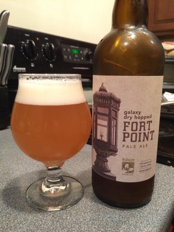 Fort Point - Galaxy Dry Hopped