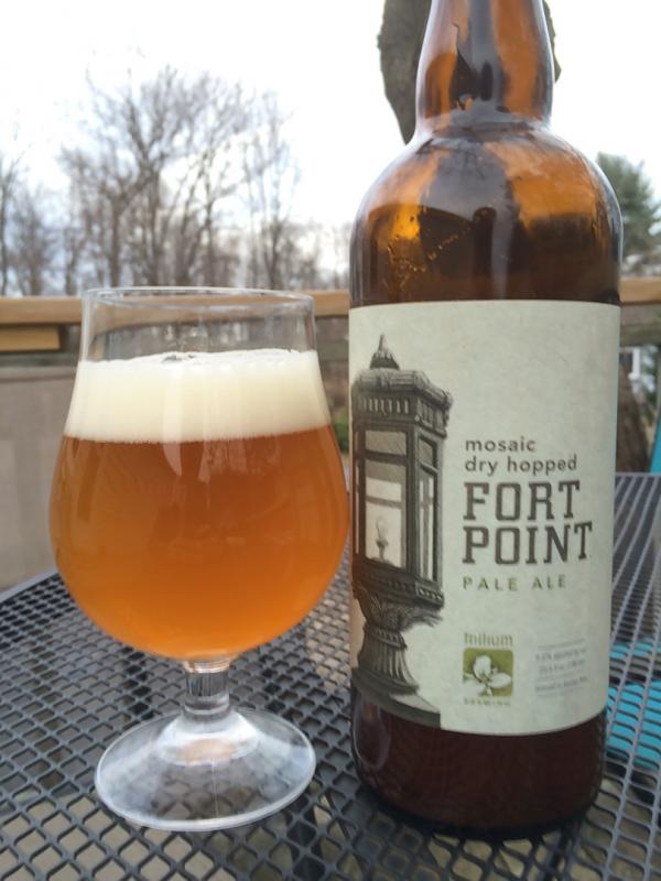 Fort Point - Mosaic Dry Hopped