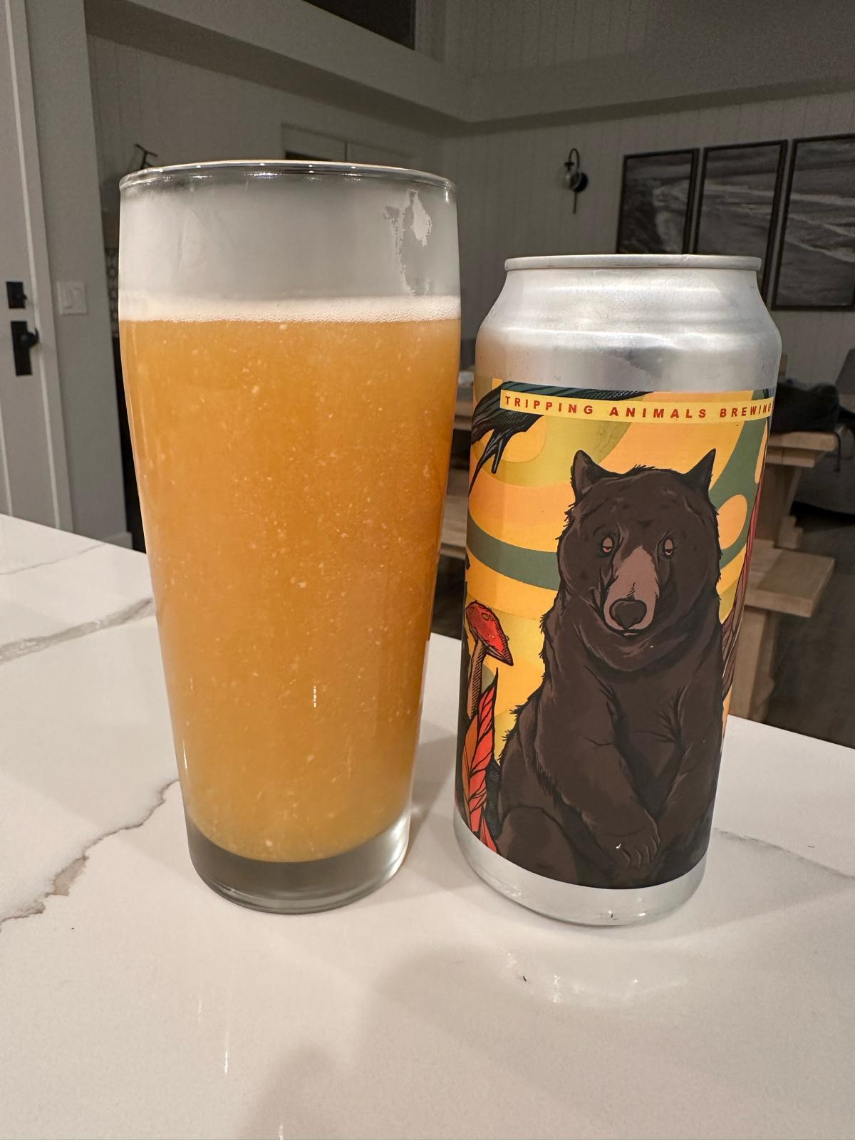 Cali Bear Trip