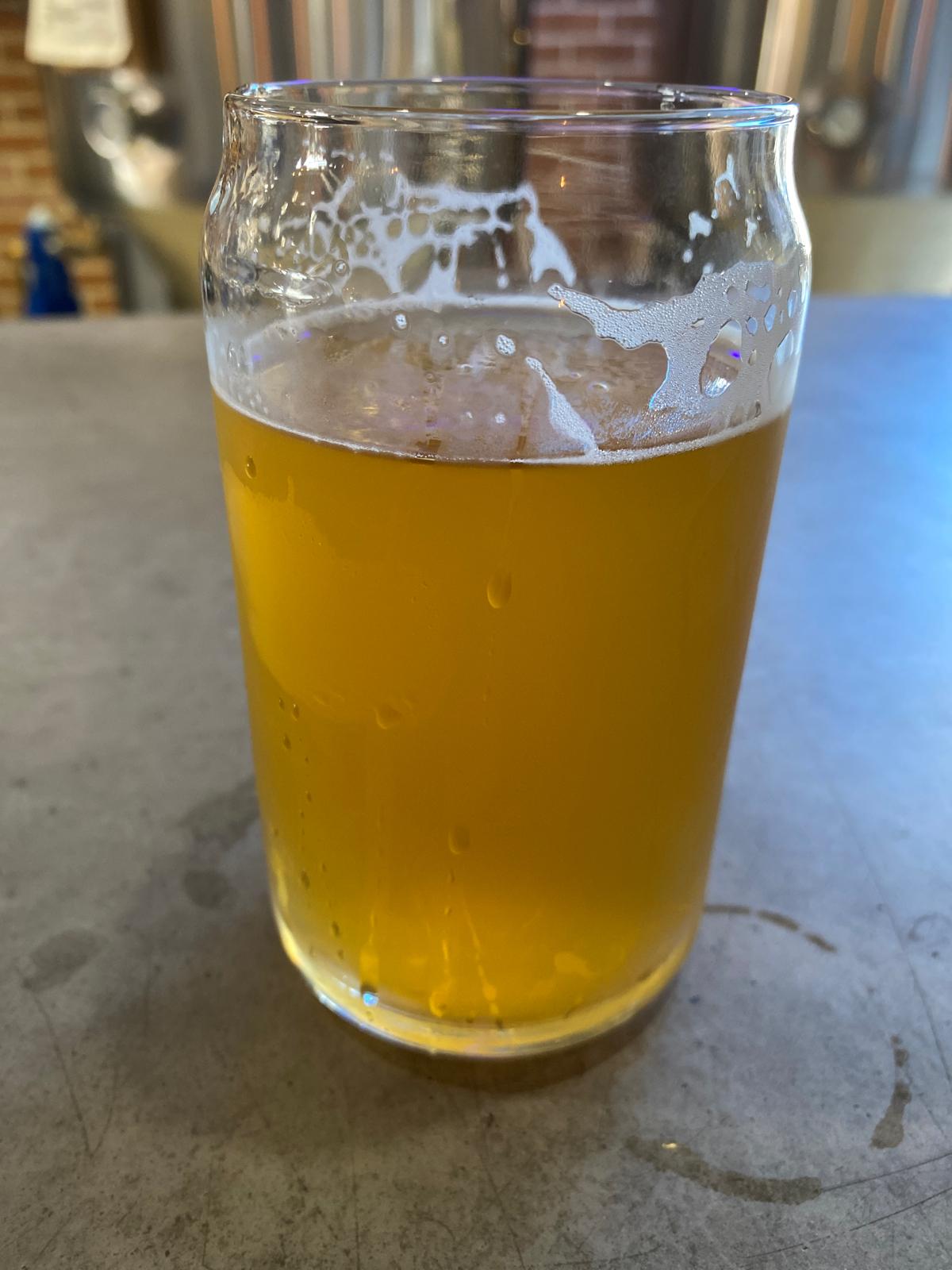 Idaho IPA