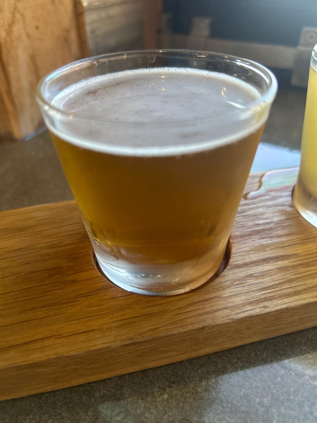 Bluey Honey Blueberry Ale