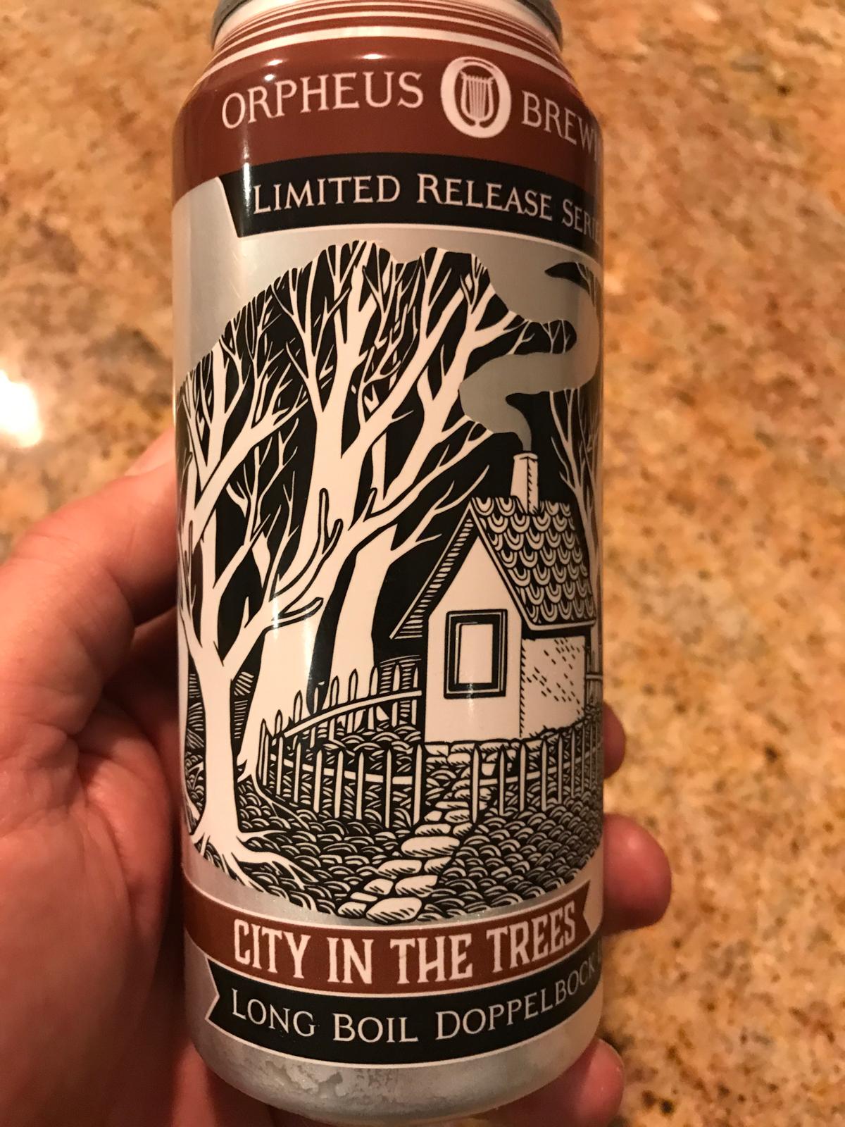 City In The Trees