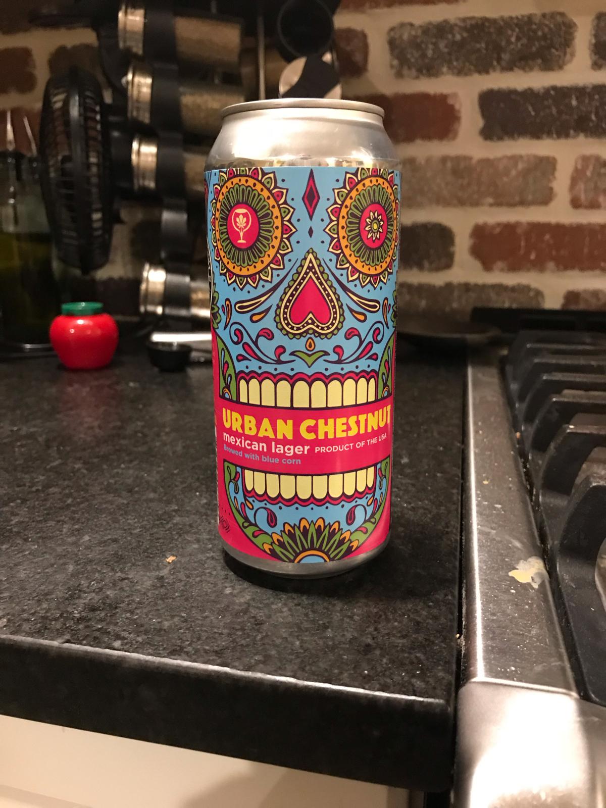 Mexican Lager 