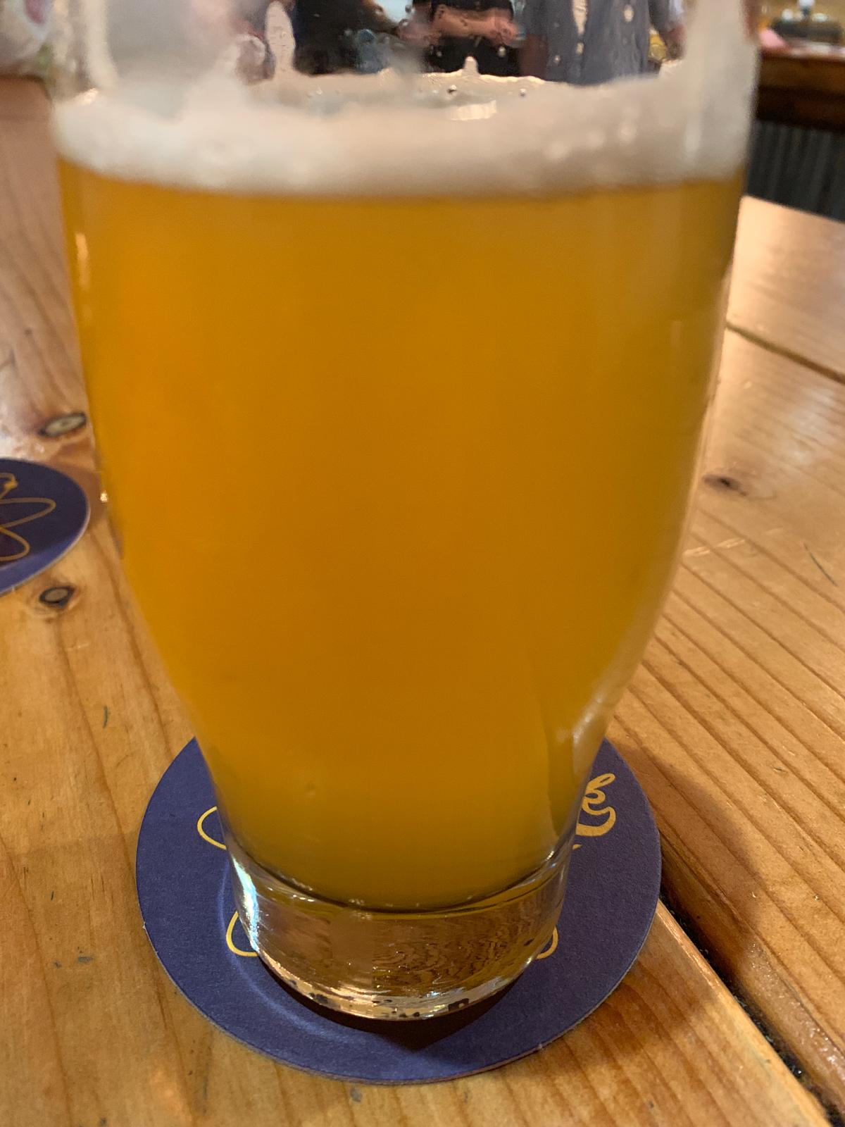 High Visibility Safety Vest 