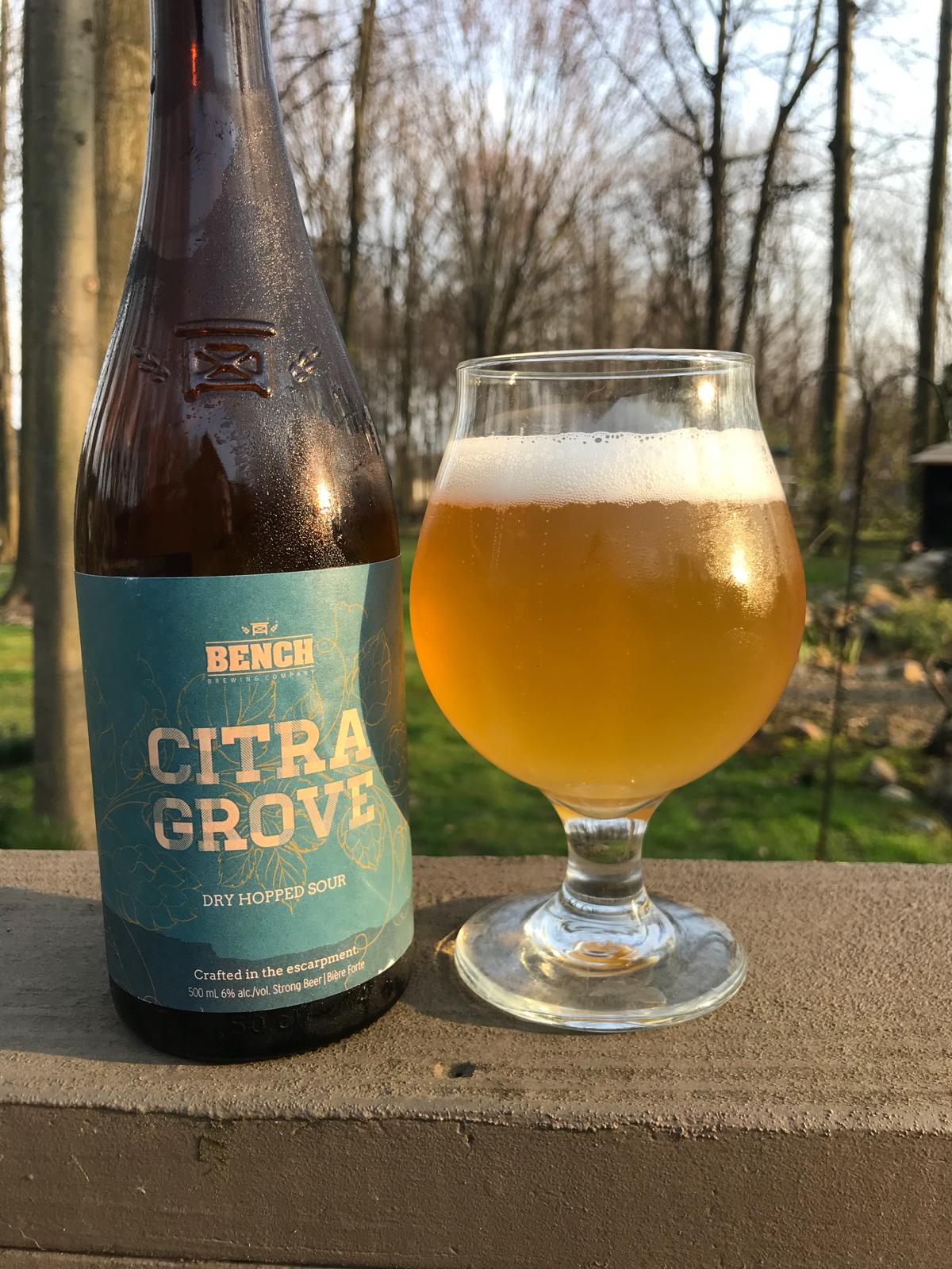 Citra Grove Dry Hopped Sour