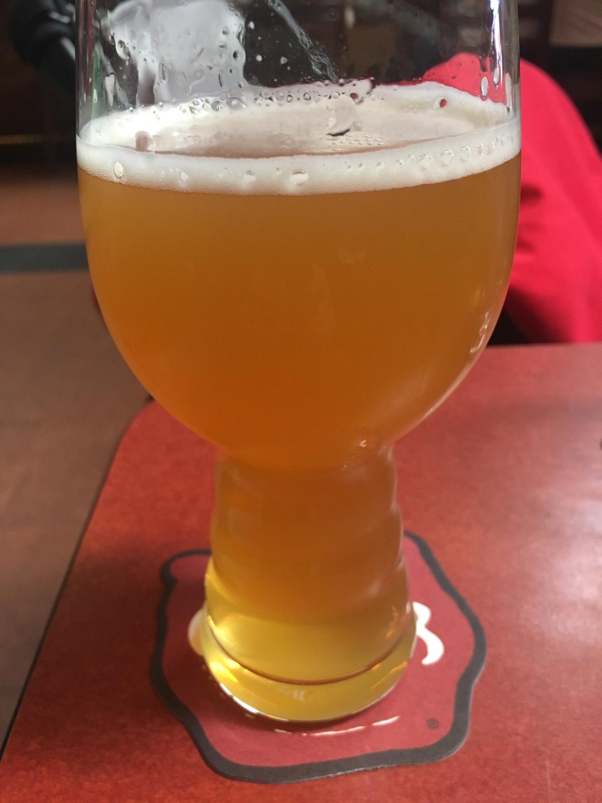 Hop Series DIPA With Galaxy And Enigma