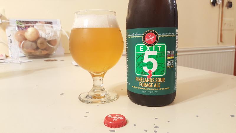 Exit 5 Pinelands Sour Forage Ale