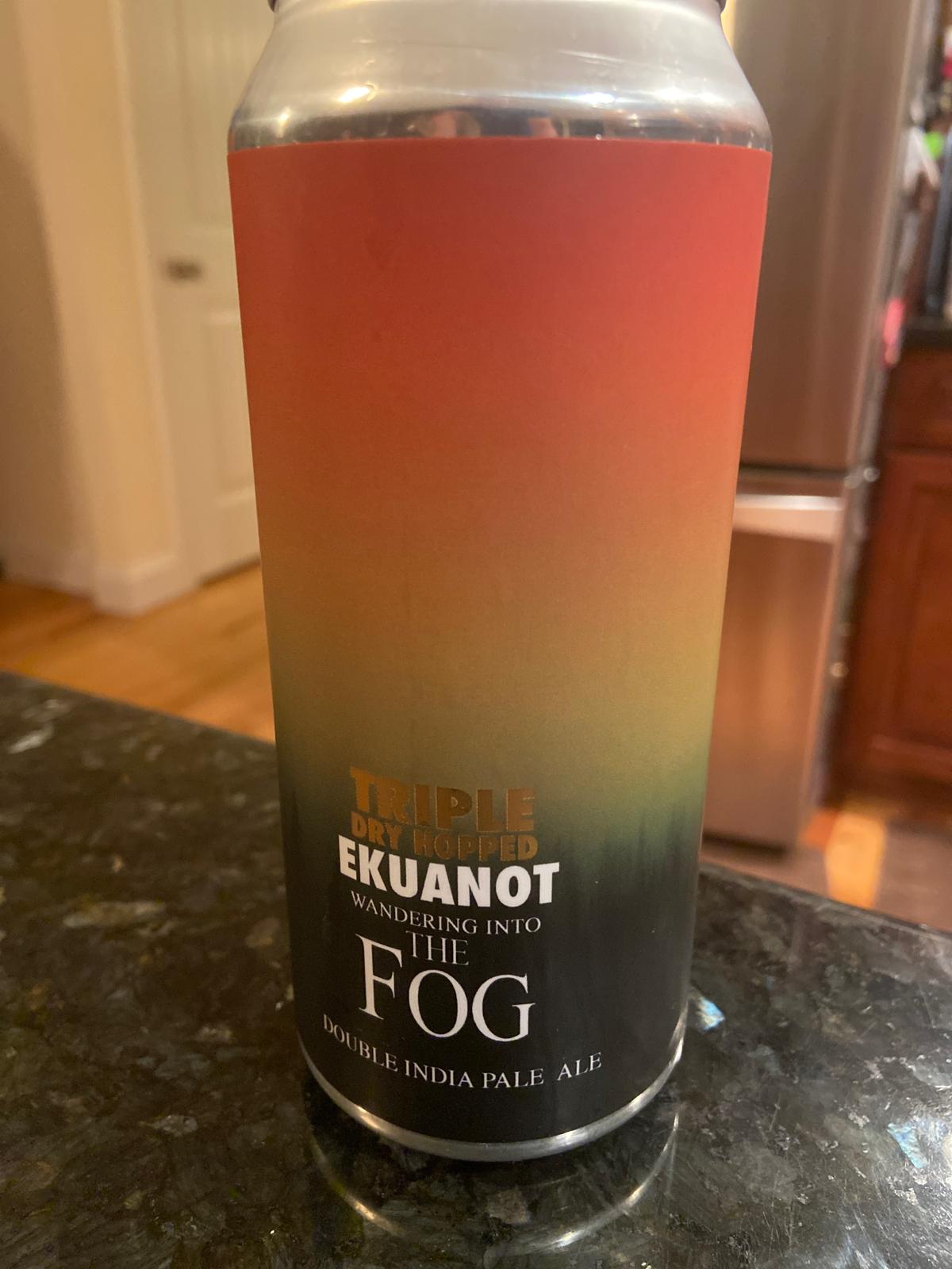 Wandering into the Fog - Ekuanot