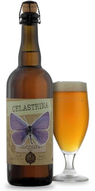 Celastrina