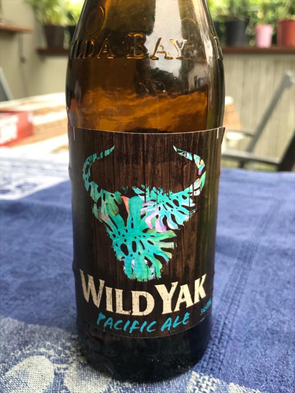 Wild Yak