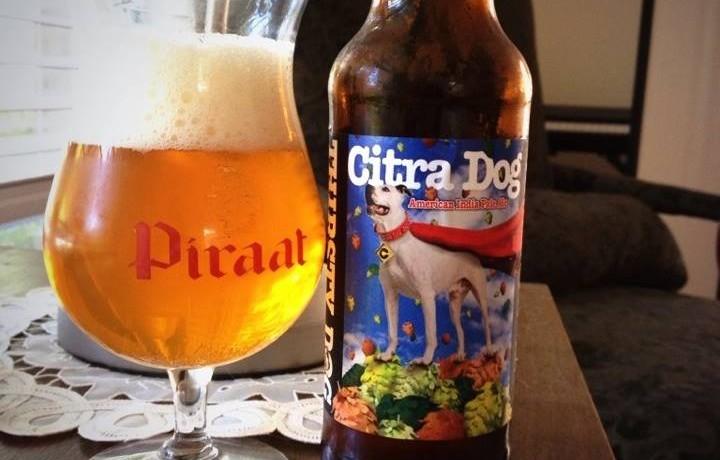 Citra Dog