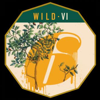 Wild - VI (Dry-Hopped Oak-Aged Wild Ale)