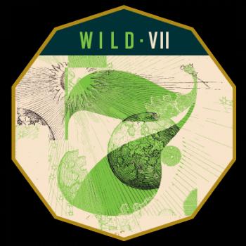 Wild - VII (Oak-Aged Wild Ale with Brettanomyces)