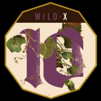 Wild - X (Oak-aged Wild Red Ale)