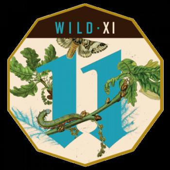 Wild - XI (Oak-Aged Sour Wild Golden Ale with Brettanomyces)