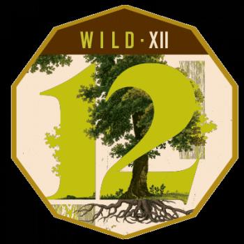 Wild - XII (Oak-Aged Wild Sour Blonde Ale with Brettanomyces)