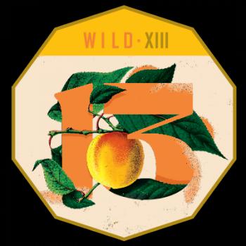 Wild - XIII (Oak-aged Sour Wild Golden Ale with Apricots)