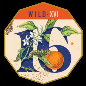 Wild - XVI (Oak-aged Sour Wild Blonde Ale w/ Citrus)