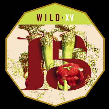 Wild - XV (Oak-aged Wild Ale with Brettanomyces)