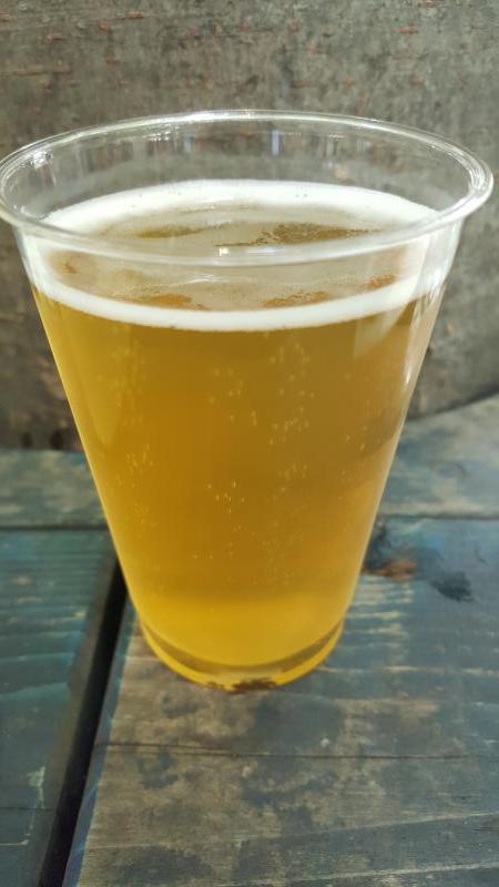 Pilsner