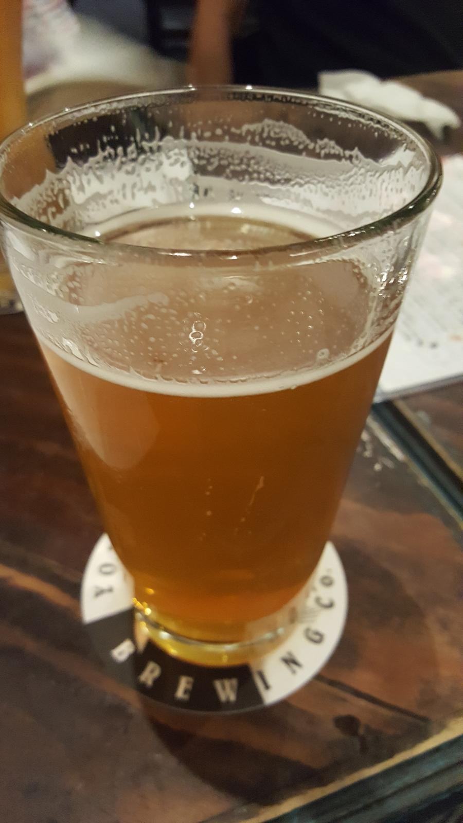 Gotch Piledriver IPA