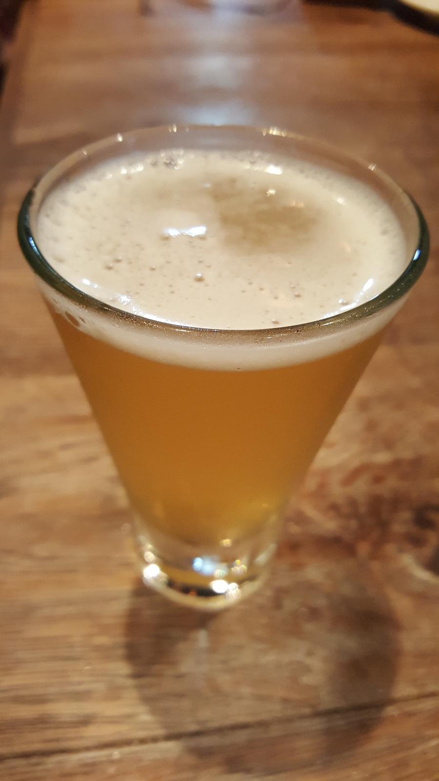 Ringo Lager