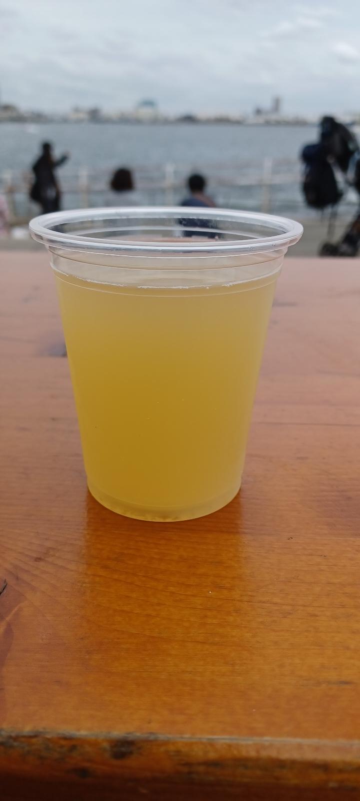 Kamiooka Kiwi Ale
