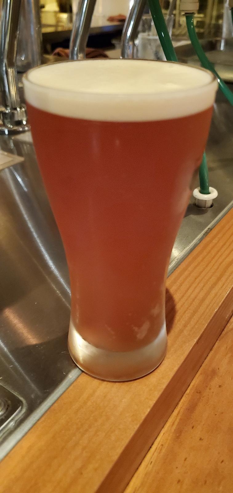 Iwatekura Tomato Ale