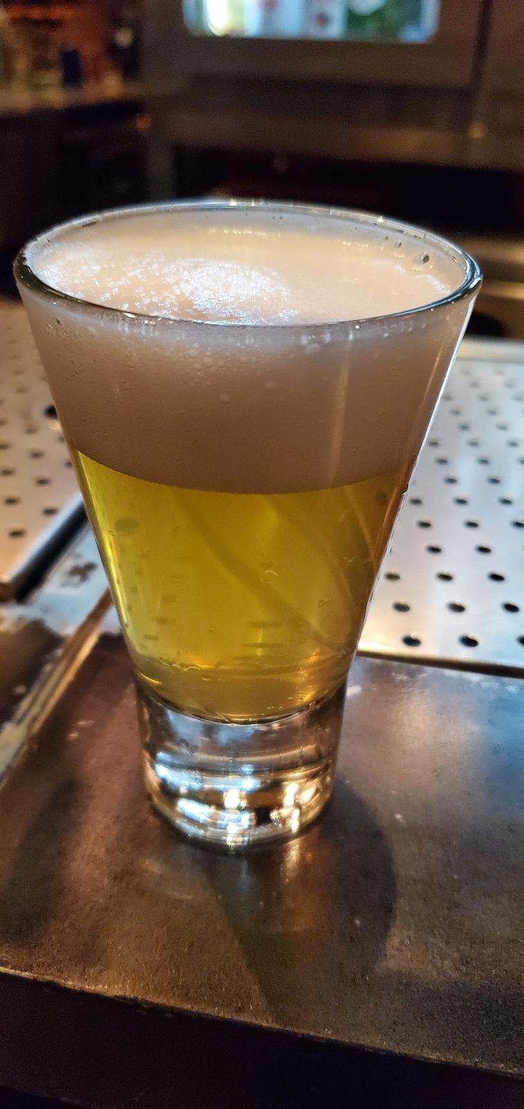 Shonan Beer Tankan Saison