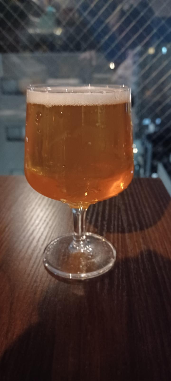 American IPA