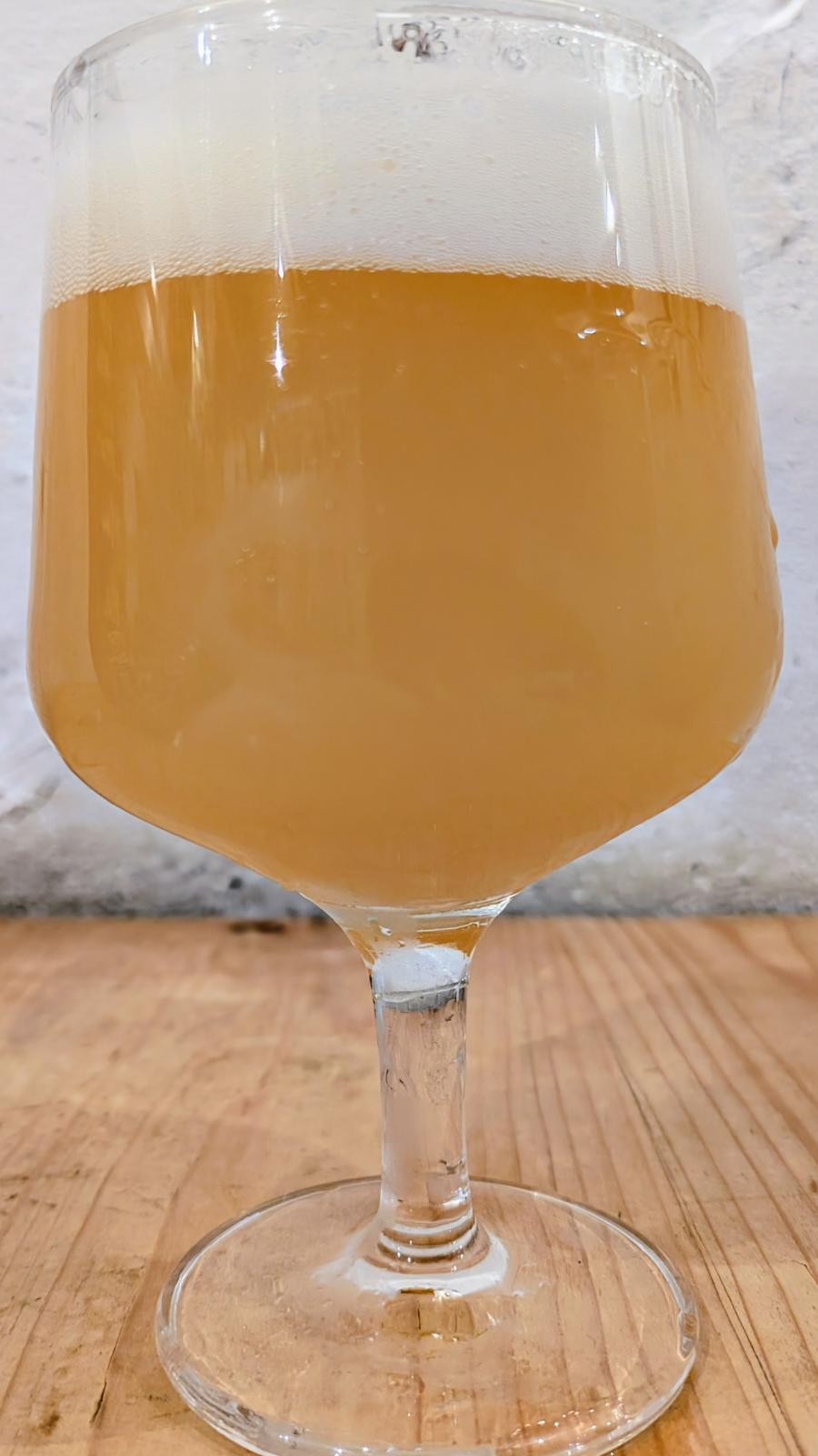 Hazy IPA - Winter