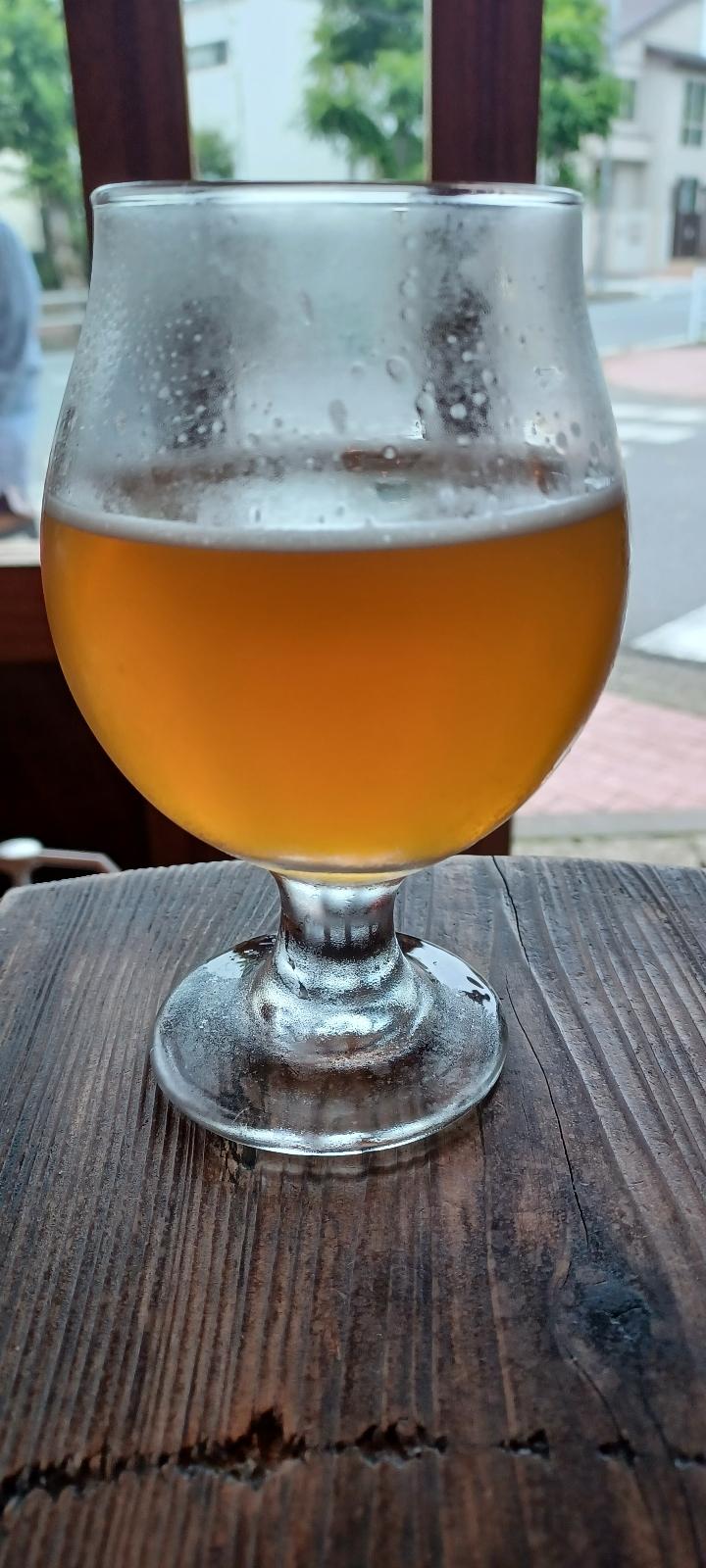 Lamugi IPA V2
