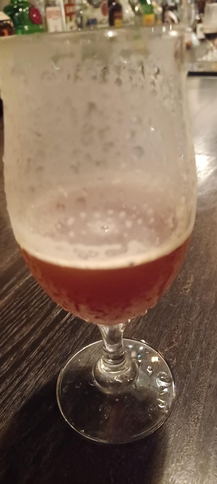 Iwatekura Irish Style Pale Ale