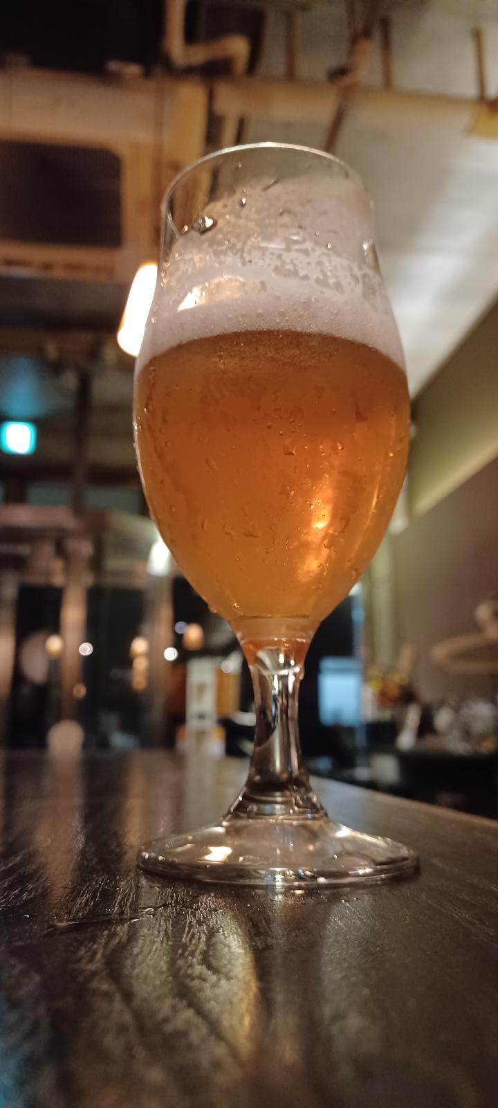 Yokohama Kohoku Fresh Hop Ale (2023)