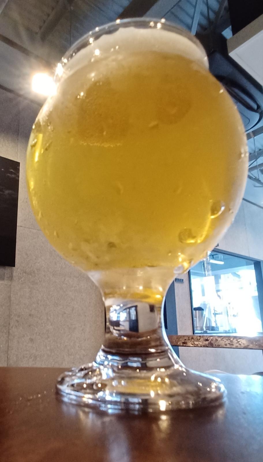 Miura Golden Ale