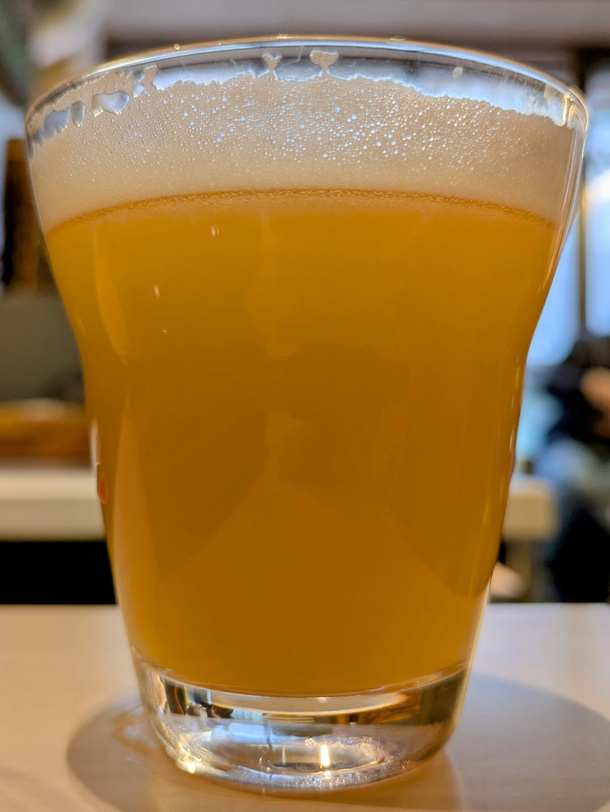 Hazy! Hazy! IPA - DDH Riwaka