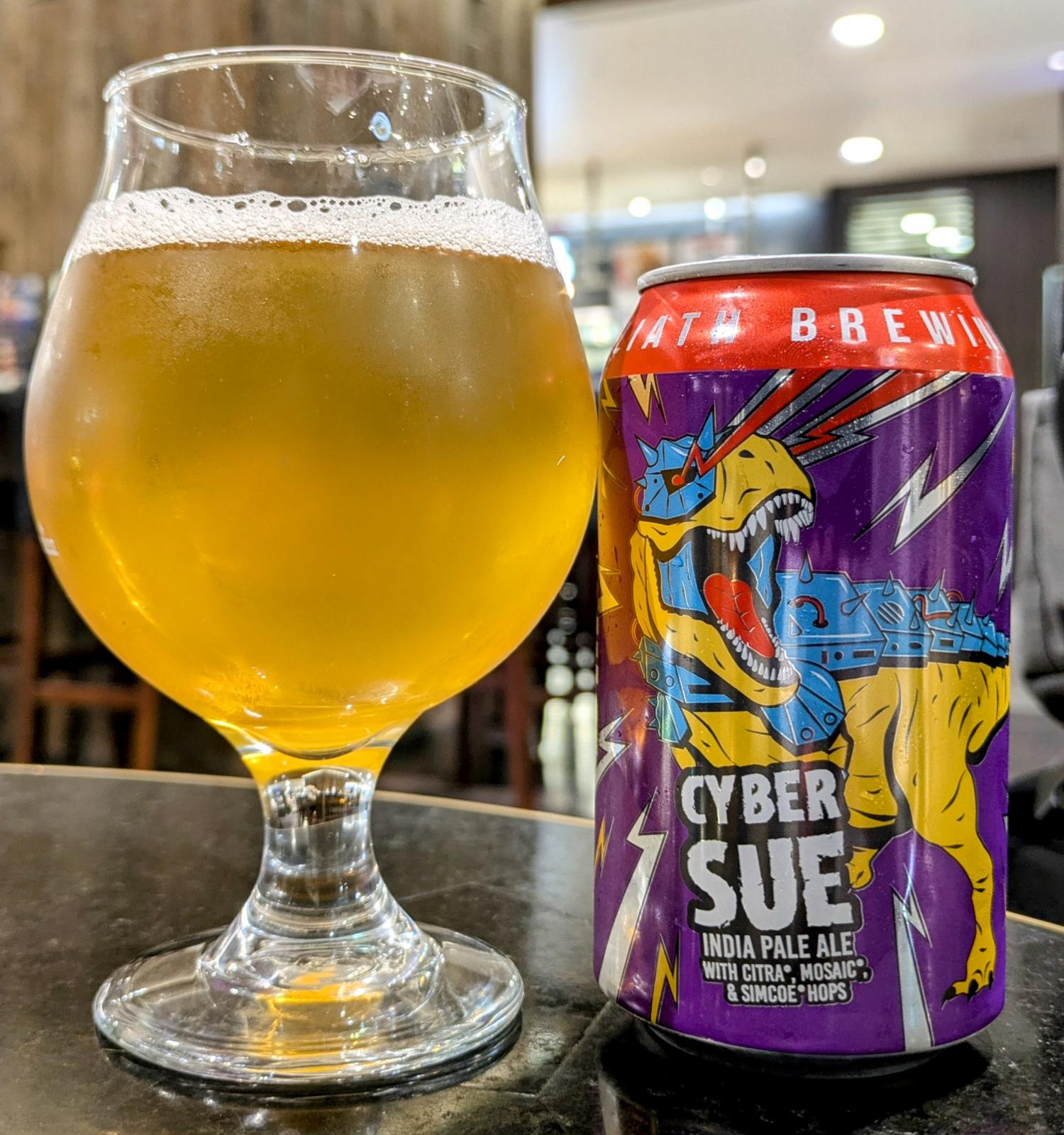 Cyber Sue