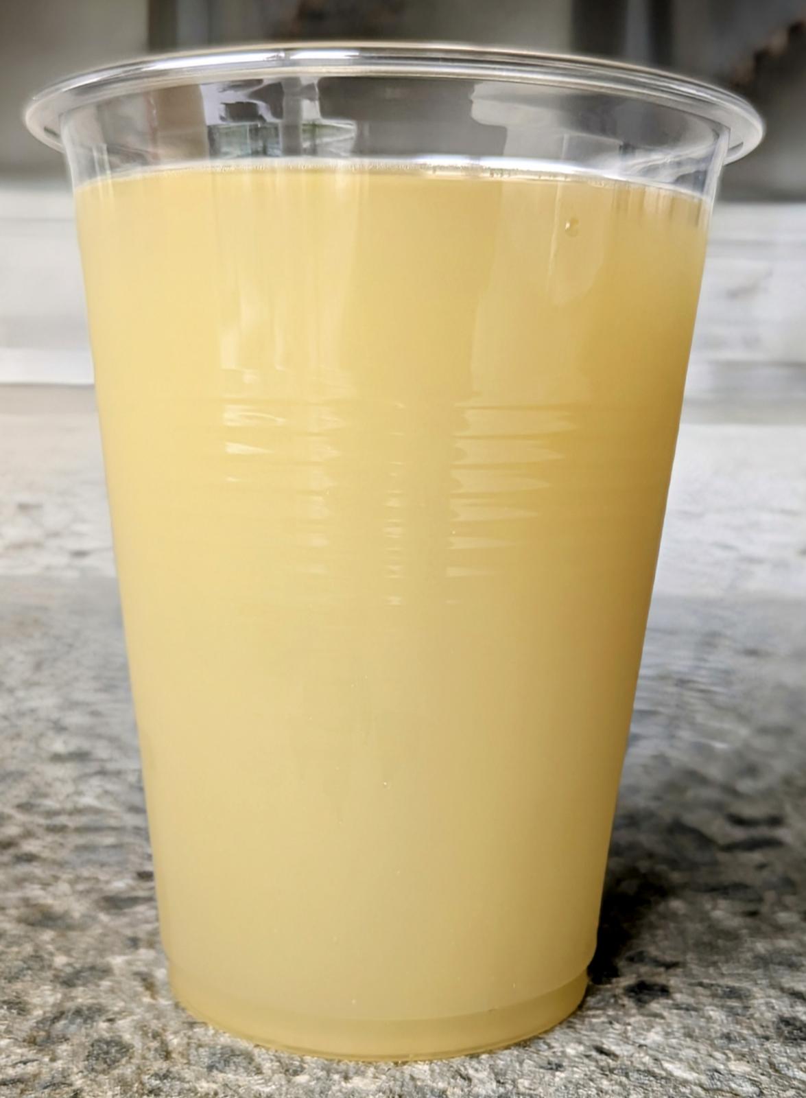 Mecha Macha IPA