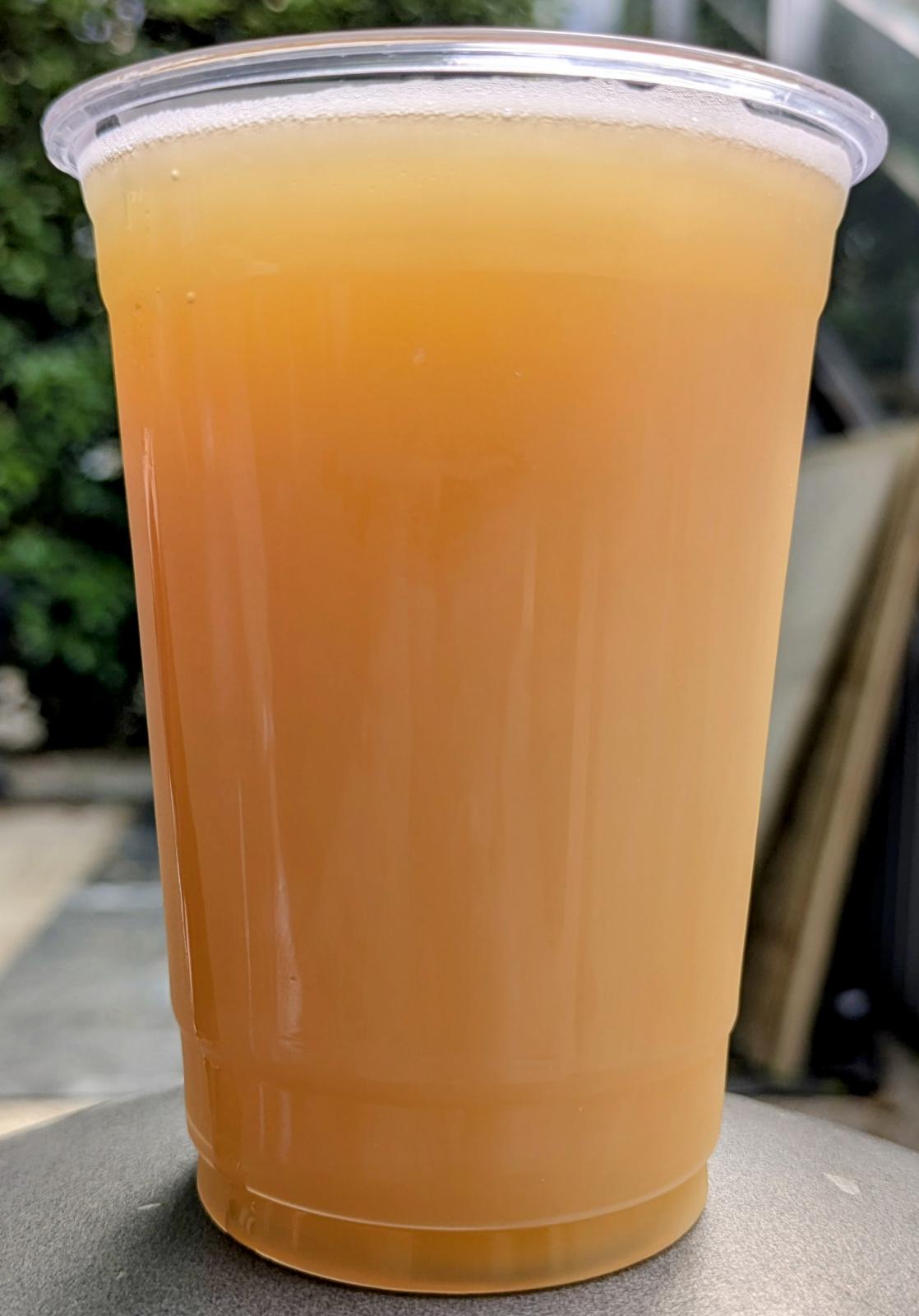 Shiga Kogen Snow Monkey IPA (2025)