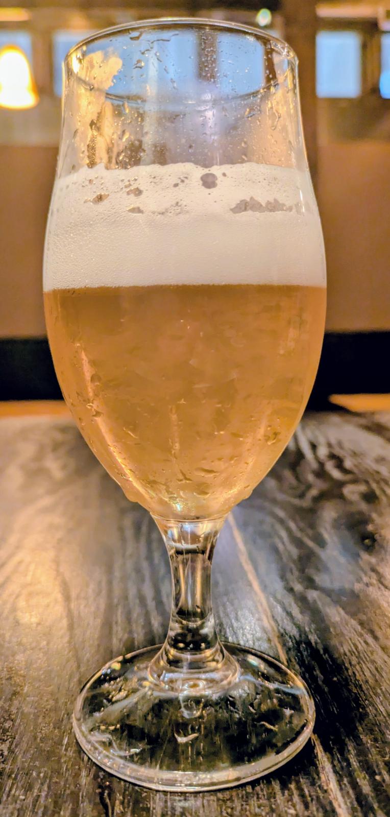 Fresh Hop Lager (2025)