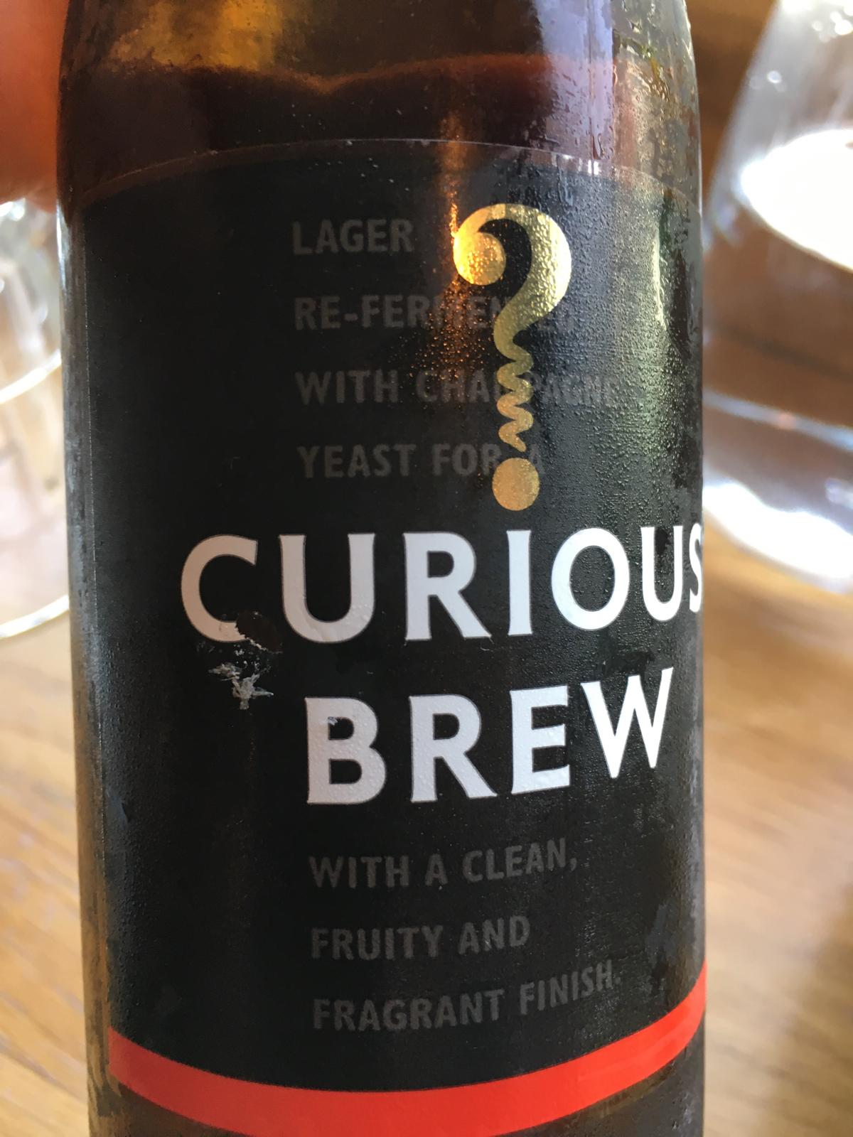 Curious Brew Lager