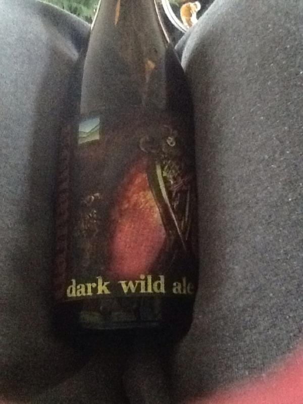 Dantalion Dark Wild Ale