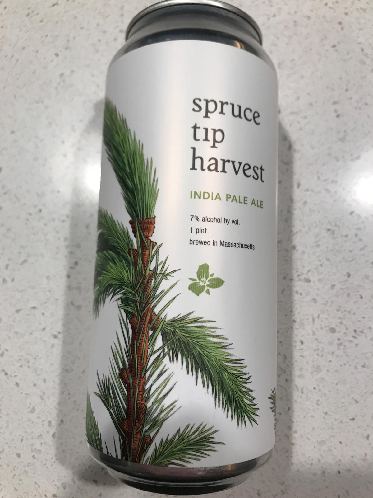 Spruce Tip Harvest