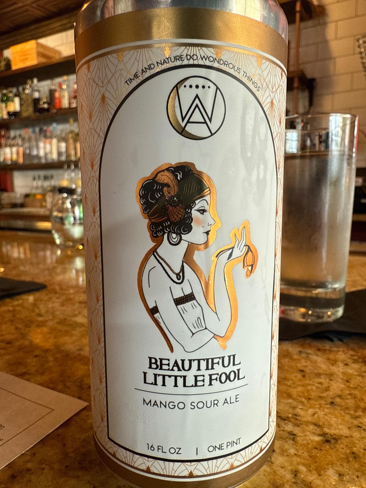 Beautiful Little Fool