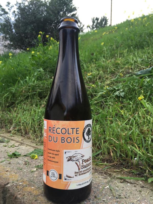 Recolte Du Bois Saison Savoureuse