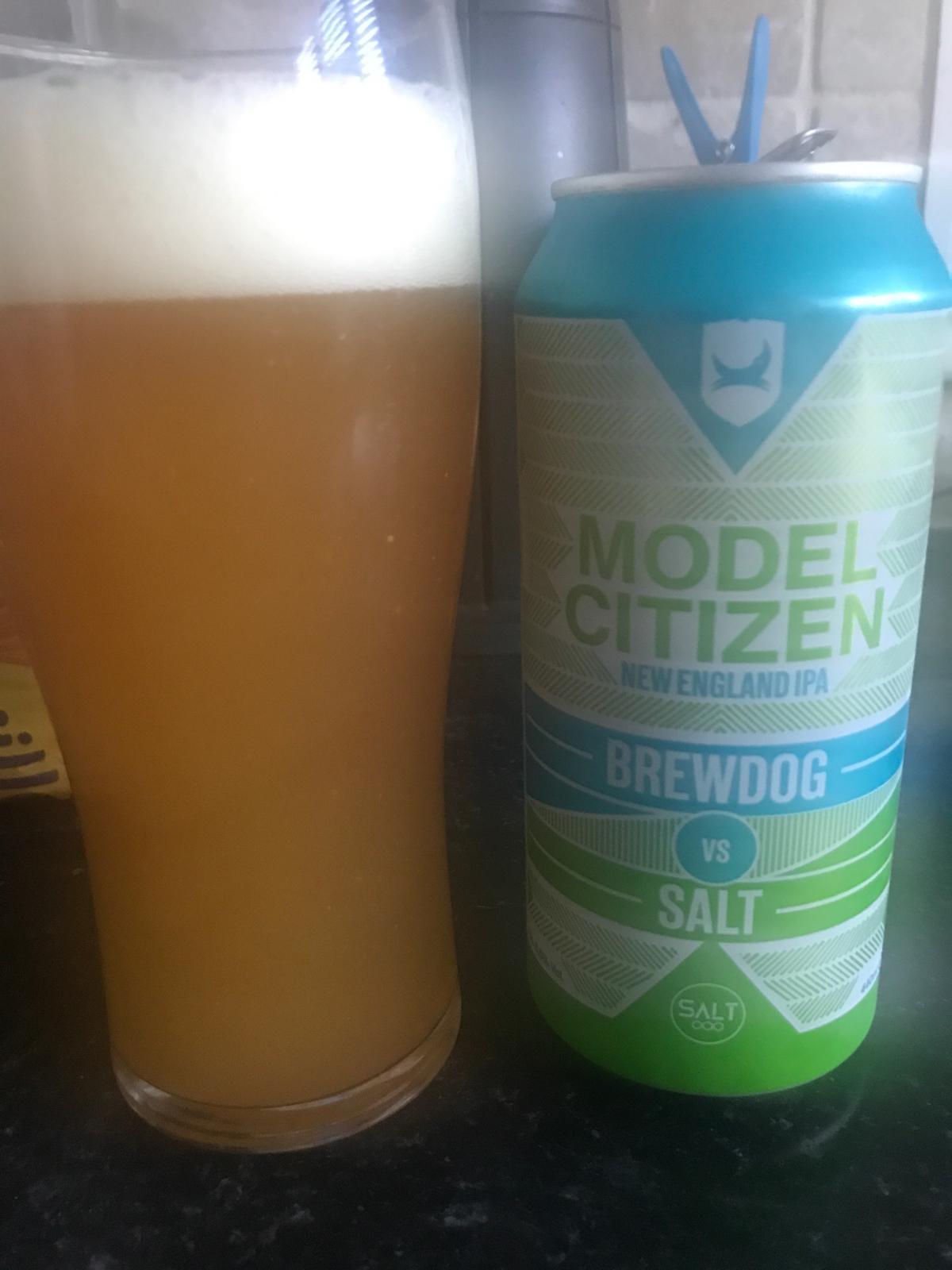 Model Citizen (Brewdog Vs Salt)