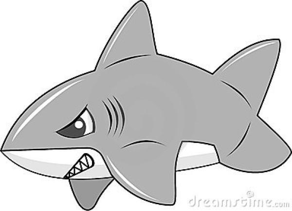 Sharky495 profile picture
