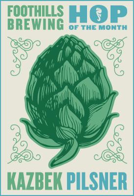 Hop Of The Month: Kazbek Pilsner